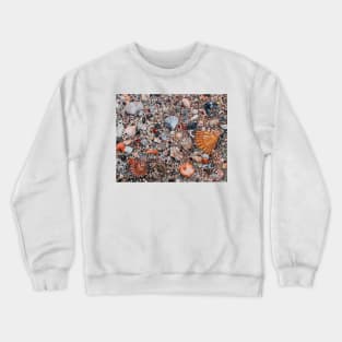 'Seashells & Sand' Crewneck Sweatshirt